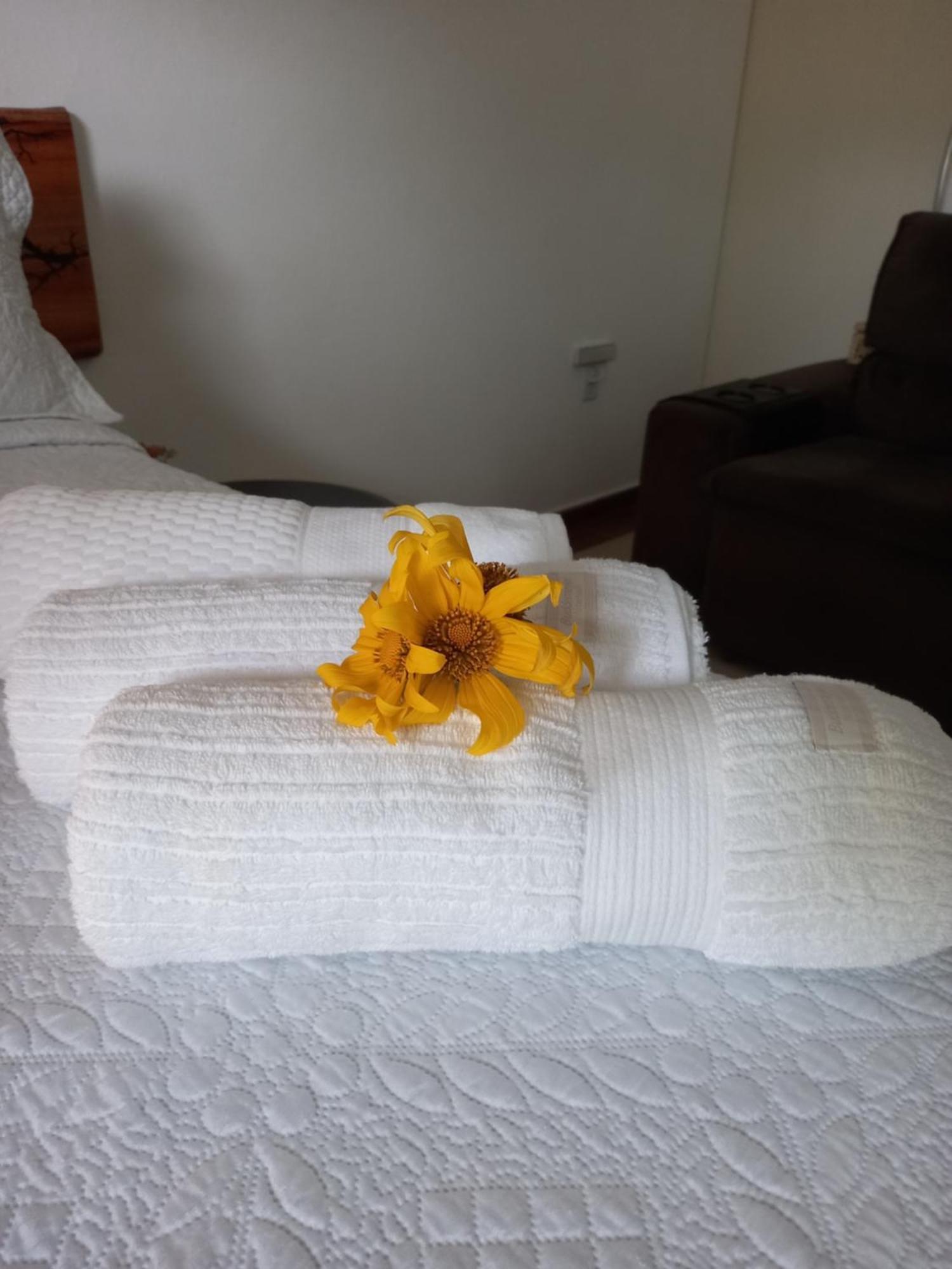 Suites Mathias Flat กงแซร์วาตอเรีย ภายนอก รูปภาพ